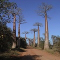288_Madagascar-07-08-03.jpg