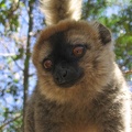 372 Madagascar-14-08-03