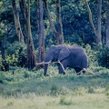 093 Tanzanie 1994
