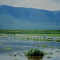 126 Tanzanie 1994