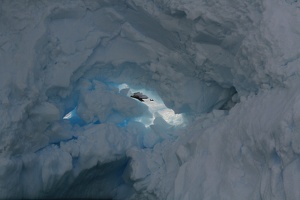 289 Antarctique 15.01.22 18.34.34