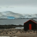 542_Antarctique_17.01.22_15.50.16.jpg