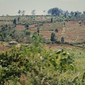 Kenya 0002