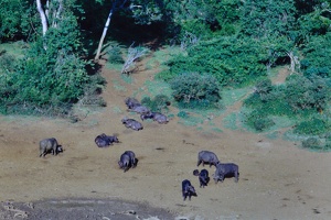 Kenya 0003 07