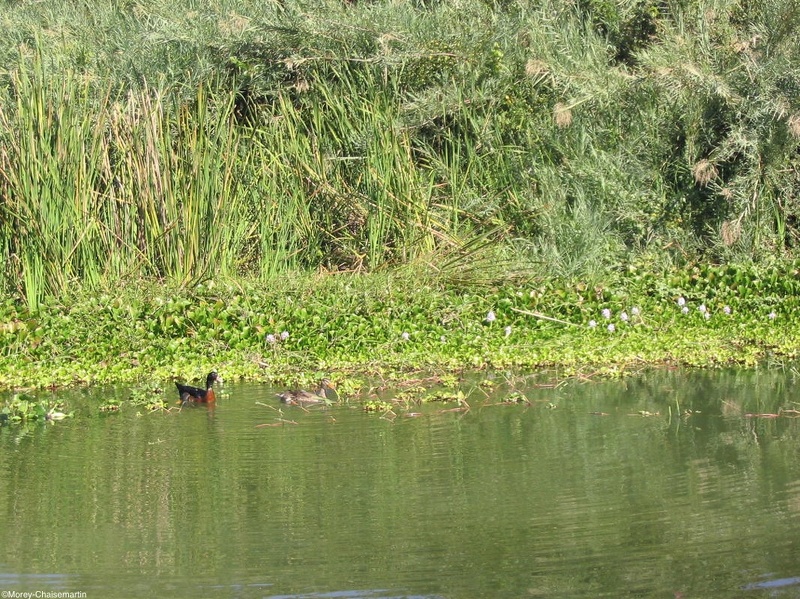 181_Madagascar-05-08-03.jpg