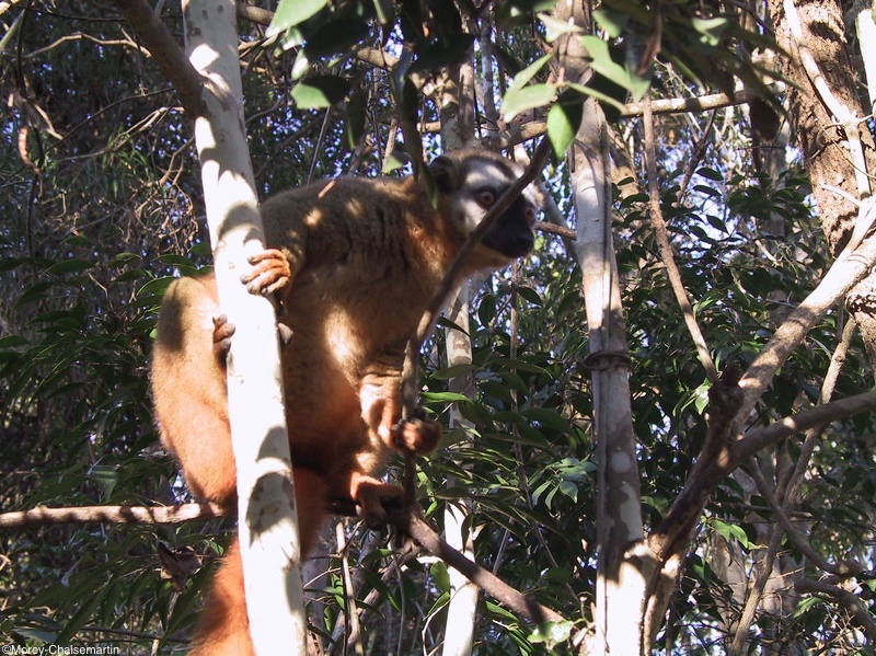 271_Madagascar-06-08-03.jpg
