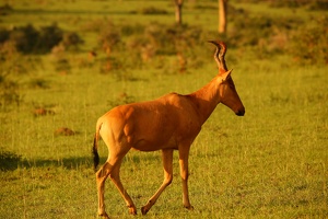 161 Ouganda 06-Sep-18H02.32
