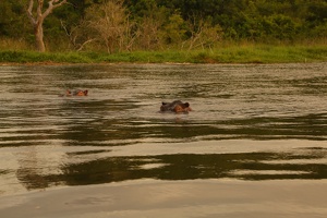 191 Ouganda 07-Sep-07H49.33