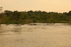 193 Ouganda 07-Sep-07H55.54