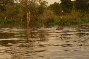 194 Ouganda 07-Sep-07H57.40