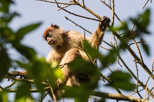 259 Ouganda 08-Sep-08H51.54
