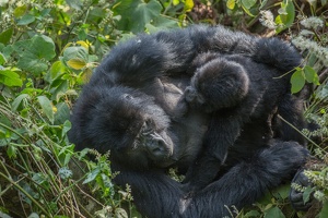 617 Ouganda 12-Sep-10H39.43