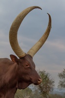 838 Ouganda 16-Sep-07H00.53