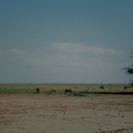 008 Tanzanie 1994