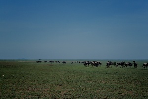 016 Tanzanie 1994