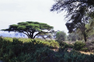 024 Tanzanie 1994 01