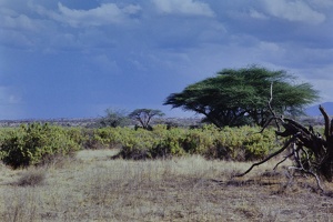 024 Tanzanie 1994 03