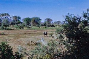 024 Tanzanie 1994 07