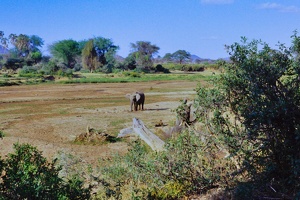 024 Tanzanie 1994 08