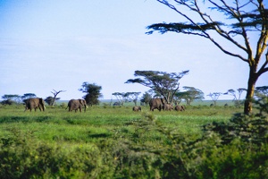 024 Tanzanie 1994 09