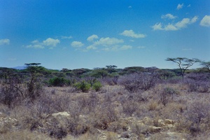 024 Tanzanie 1994 18