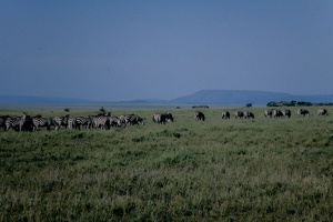 035 Tanzanie 1994