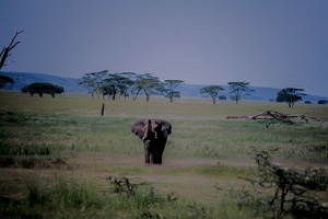 063 Tanzanie 1994