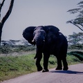065 Tanzanie 1994