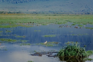 086 Tanzanie 1994