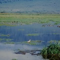 086 Tanzanie 1994