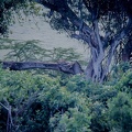 090 Tanzanie 1994
