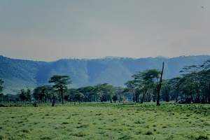 091 Tanzanie 1994