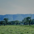 091 Tanzanie 1994