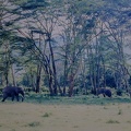 092 Tanzanie 1994