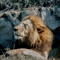 113 Tanzanie 1994