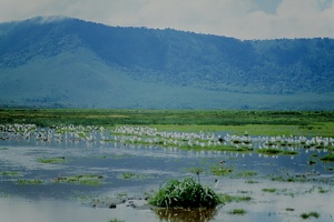 126 Tanzanie 1994