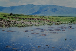 129 Tanzanie 1994