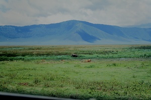 130 Tanzanie 1994