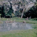 147 Tanzanie 1994