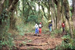 157 Tanzanie 1994