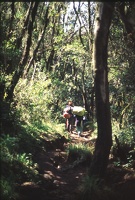 166 Tanzanie 1994