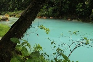 237 RioCeleste 28avril10H11