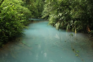 241 RioCeleste 28avril10H30