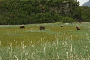095 Ours 16juin12.36