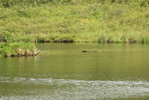 664 Castor 30juin10.48
