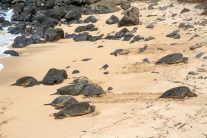 050 Maui 02.10.22 12.55