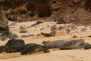 066 Maui 02.10.22 13.12