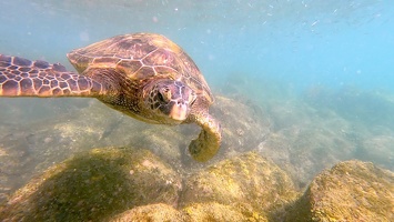 170 Maui 05.10.22 15.36