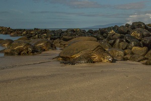 224 Maui 07.10.22 20.09