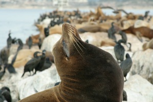 07 Monterey 090914 19.13